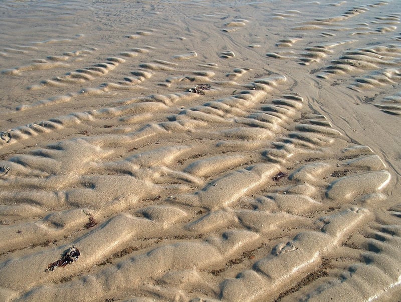 Latin American Ingredients